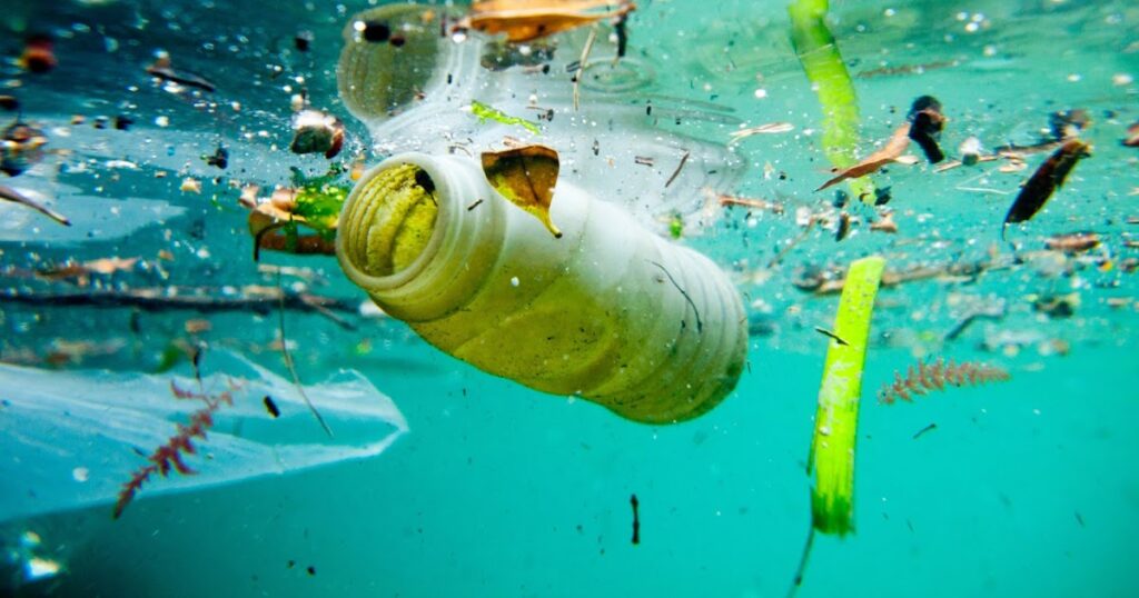 Our polluted oceans