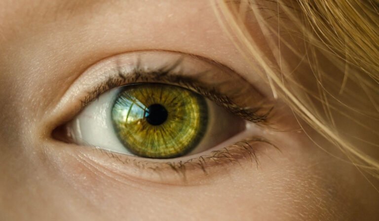 The human eye