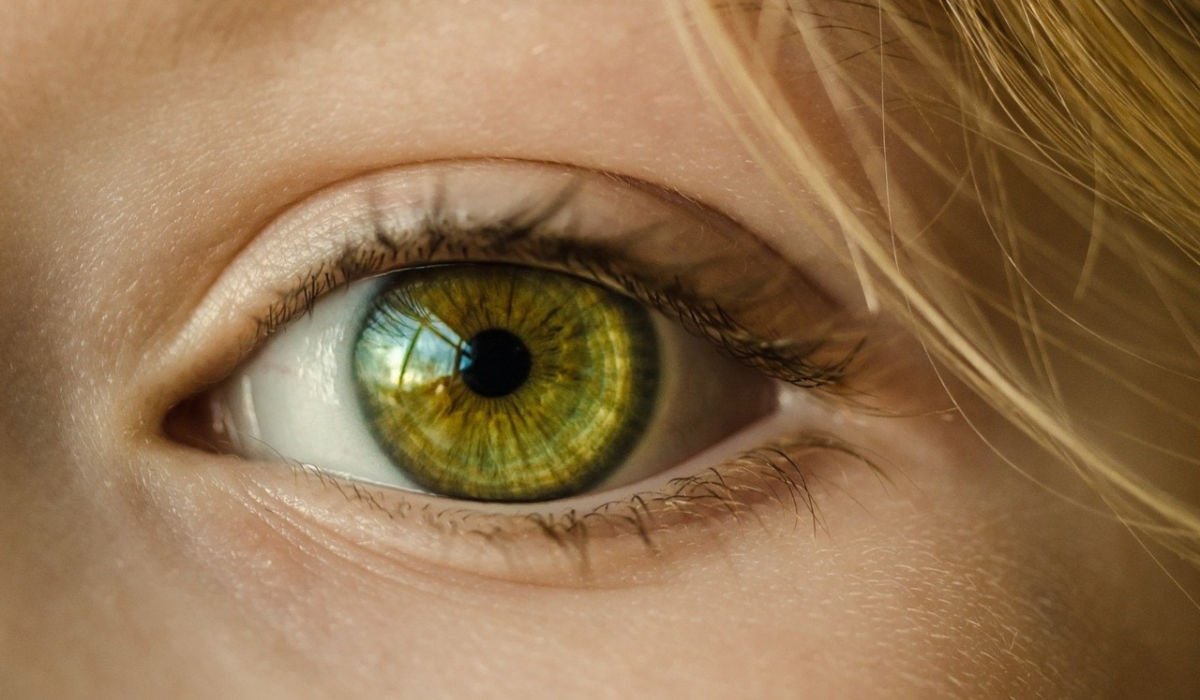 The human eye