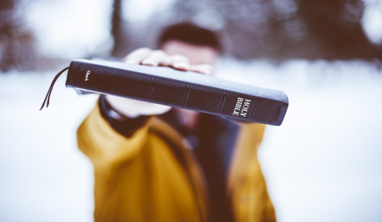 The Creators handbook of life