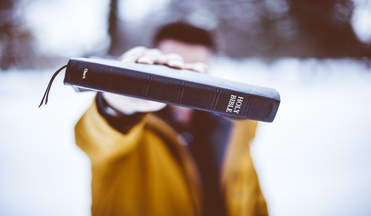 The Creators handbook of life