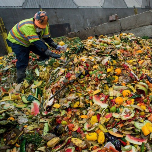 FOOD WASTE