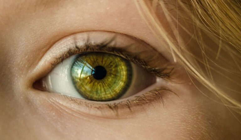 human eye