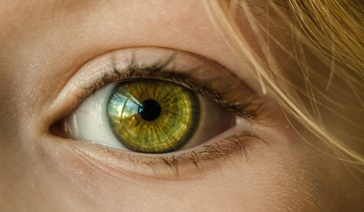 human eye