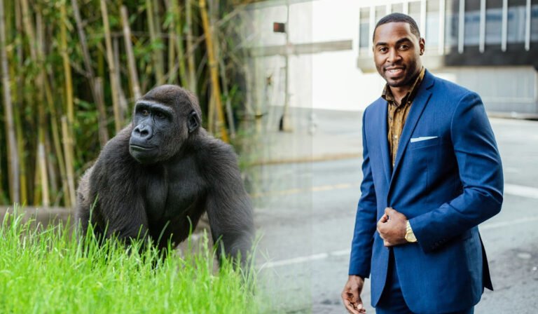 this to this
