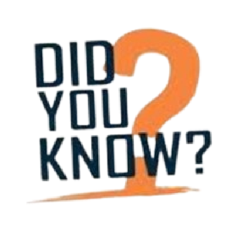 orange_DYK.jfif-removebg-preview (1)