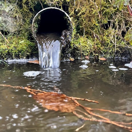 River pollution