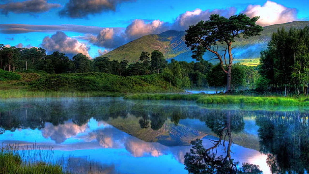 PEACEFUL BEAUTIFUL PLANET (1)