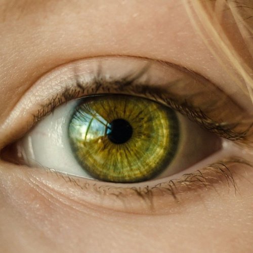 human eye (1)